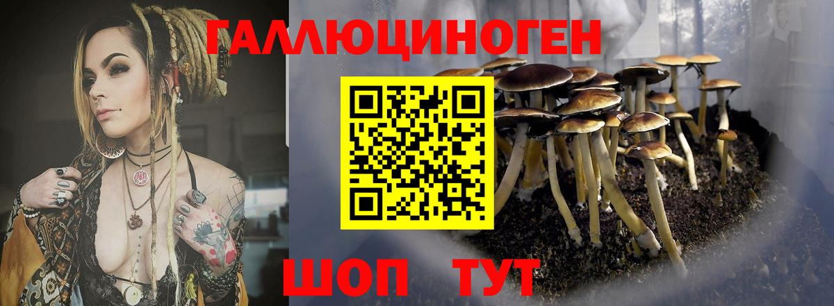 Псилоцибиновые грибы ЛСД  Вход с VPN  Тула 